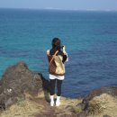 종달구경 이미지