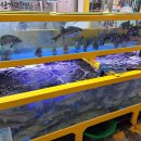 용원가덕횟집 이미지