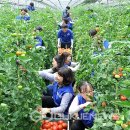 이은형농장 이미지