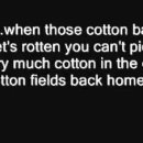 목화(아) 이미지