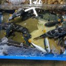 주문진 방파제회센타 이미지