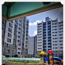 아포덕일한마음 이미지