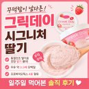 그릭데이 시그니처 딸기 후기 그릭요거트 일주일 먹어본 솔직후기