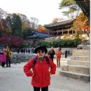 백신초교 학교울타리 인도쪽으로만 지정 | 한밤의 사진편지 제2551호(&#39;한사모&#39; 2017 가을철 경주지역 걷기 셋째 날 후기 - 최경숙/&#39;17/11/19/일)