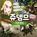 즐거운 뽑기랜드 | 시흥 이색카페 '쥬뗌므 키즈랜드' 어른도 아이도 너무 만족했어요.