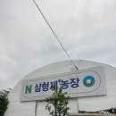 형제농장 | 울산 프라이빗 독채 강아지 운동장🐾 | 삼형제농장 방문 찐한 후기❤️