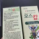 제이씨어린이집 이미지