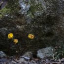 원일초등학교 이미지