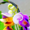 구장노래연습장 이미지