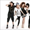 투애니원 카카오 검색결과