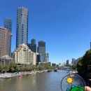 월드 건강식품점 이미지