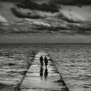 사랑의 날개 이미지