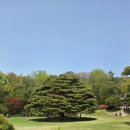 버스정류장 07-149 | 북악산 탐방로 성곽길에서 청와대 춘추관까지 산행 추천 소요시간 및 난이도 지극히 개인적인 후기