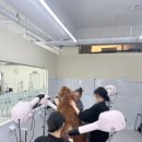 김지순애견미용학원 이미지