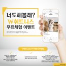 W휘트니스요가