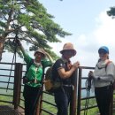 명품소나무길 이미지