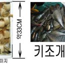 생키조개관자.키조개.키조개구이.키조개탕.키조개무침.키조개버터구이 이미지