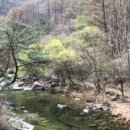 소백산 남천야영장2 이미지