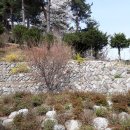 정동진공인중개사사무소 이미지