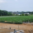 용지부자부동산공인중개사사무소 이미지