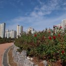 한강신도시호수공원 이미지