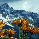 명품LPG충전소 이미지