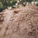 동래정씨 약사불 이미지