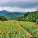 하동못안마을 이미지