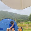 황토내음 이미지