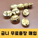 금치과 네이버블로그