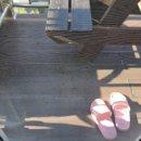 모래숲 펜션 이미지