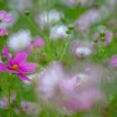 잠실중앙상가 이미지