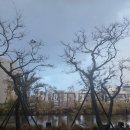 신라스테이플러스 이호테우 이미지