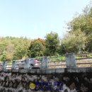 시영아파트 앞 버스정류장 이미지