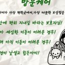 운정고양이호텔 이미지