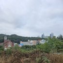 개미인력개발 - 서귀포시 서문로 5-1 | 개미인력 수원망포점 | 용인 구성 플랫폼시티 철거현장 작업 후기