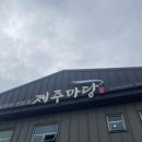 제주좋아라