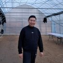 힐링성형외과의원 동아일보