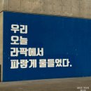 삼성푸른(아)경로당 | 대구 삼성라이온즈파크 꿀팁 후기 : 이수페타시스 1루 테이블석 시야 (feat.라팍 워터페스티벌)