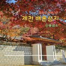 배론성지 | [충북 제천 가볼만한 곳] 배론성지 단풍 명소 방문 후기