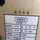 흥농종묘사 이미지