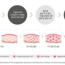 닥터퀸스의원 이미지