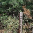 금영주유소 이미지