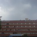 강남-295 이미지