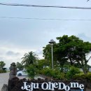 제주야자수정원수영장 올레돔 감성독채숙소 이미지