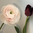 팜팜스토어 이미지