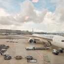 제부로 R | 싱가포르 이심 유심사 eSIM 무제한 요금제 사용 후기