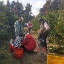 이승농장 이미지