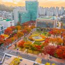 박창수한의원 | 너 진짜 열심히 산다 : 양진영 자립준비청년33 - 기아대책 마이리얼캠페이너