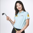 베테랑골프